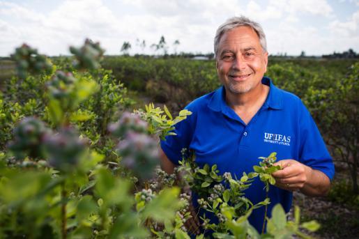 Florida blueberry conference