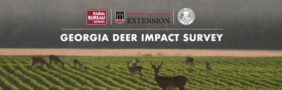 deer impact survey